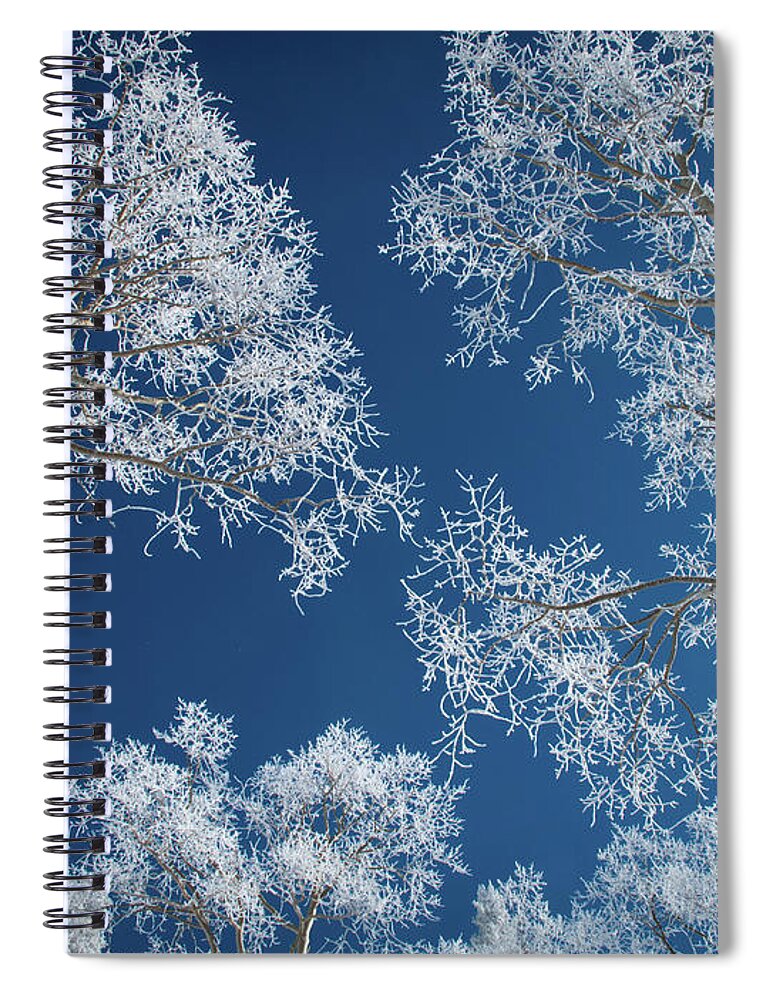 Tranquility Spiral Notebook featuring the photograph Frost-covered Aspen Trees by Karen Desjardin