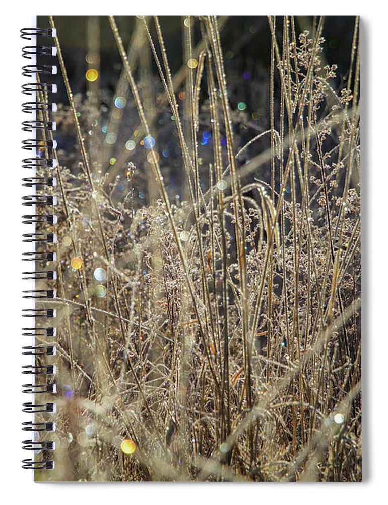 Frost Spiral Notebook featuring the photograph Frosty Meadow Grass 1 by Randy Robbins