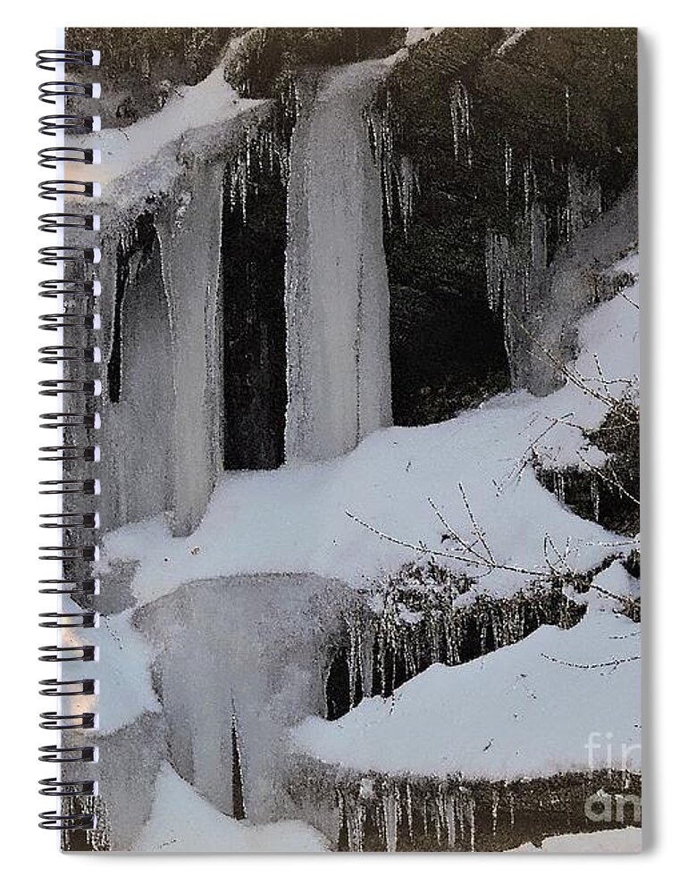 Winter Spiral Notebook featuring the photograph Frozen In Harmony by Tami Quigley
