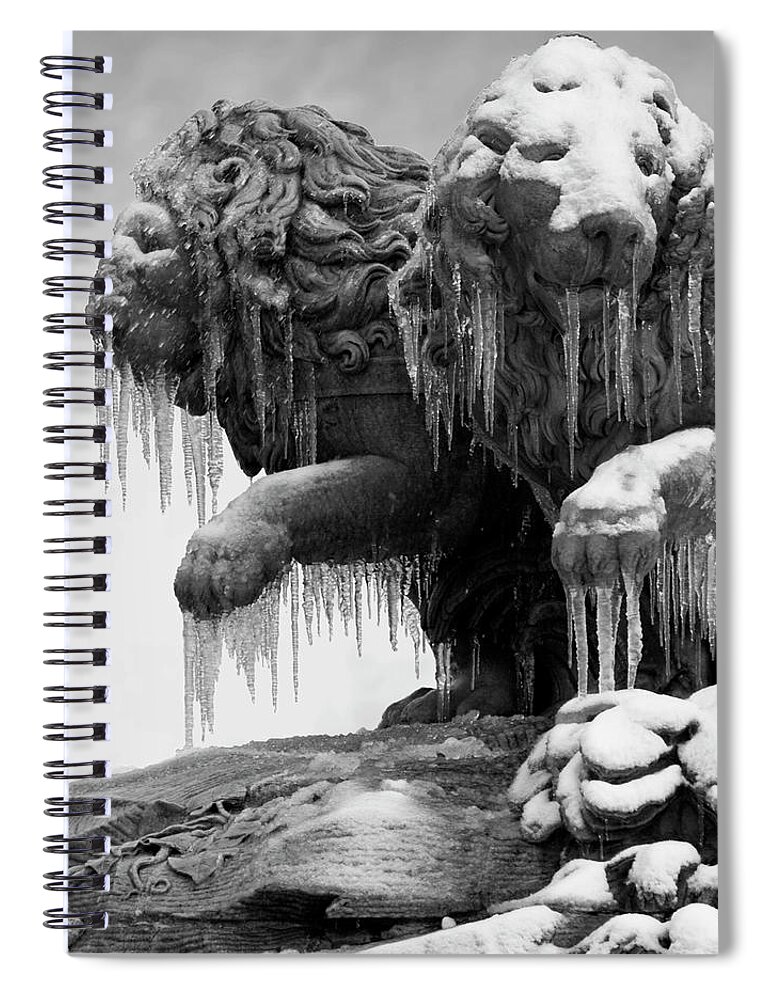 Two Objects Spiral Notebook featuring the photograph Frozen Lions by Fotografias De Rodolfo Velasco