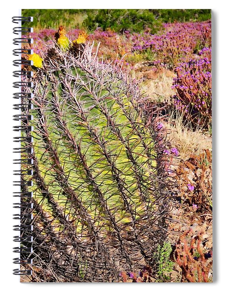 Arizona Spiral Notebook featuring the photograph Fruit-Bearing Barrel Cactus in Desert Rhubarb by Judy Kennedy