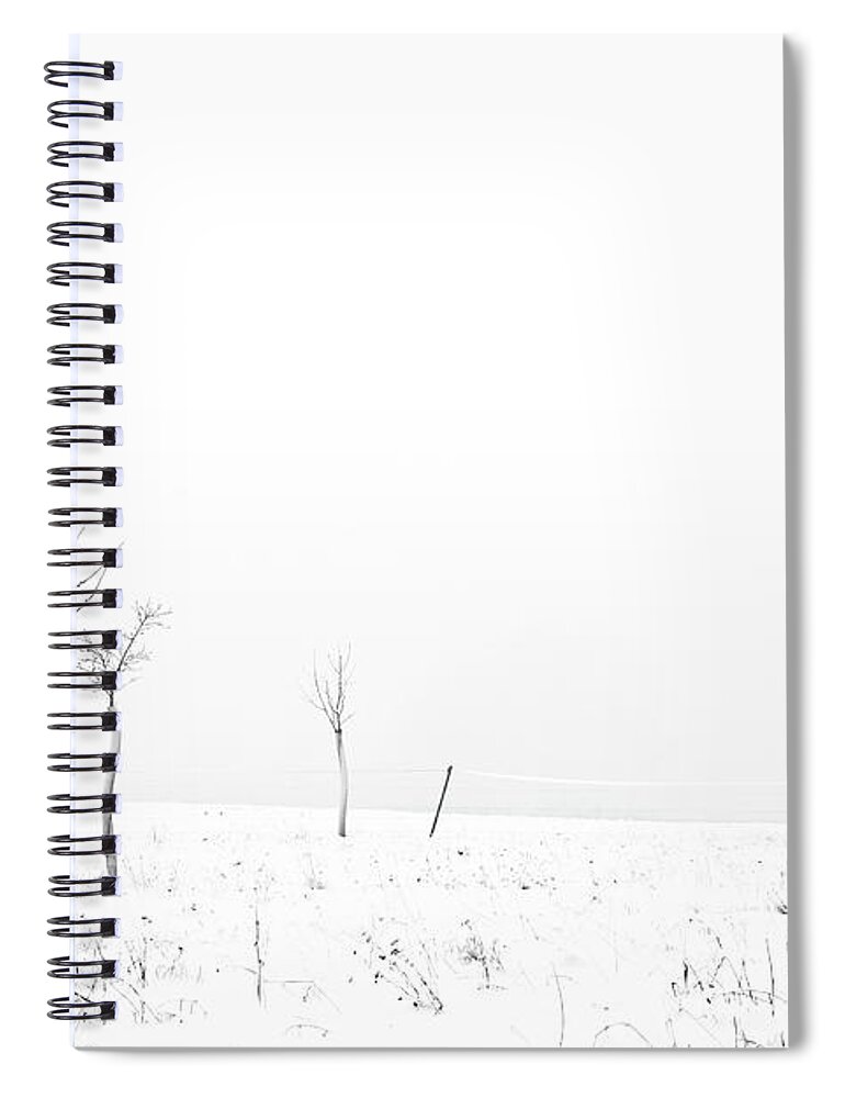 Snow Spiral Notebook featuring the photograph Fruit Trees Lost In Winter Fog by Raphael Schneider