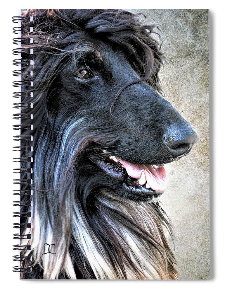 Afghan Hound Spiral Notebook featuring the photograph Full of Himself by Diane Chandler