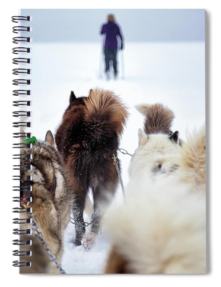 Dog Spiral Notebook featuring the photograph Fuzzy Tails Across the Snow by Becqi Sherman