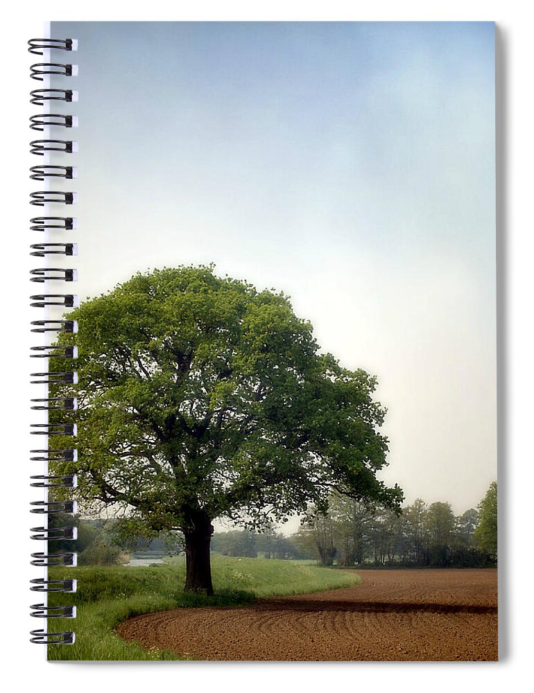 Scenics Spiral Notebook featuring the photograph Garden Of Delights by Bob Van Den Berg Photography