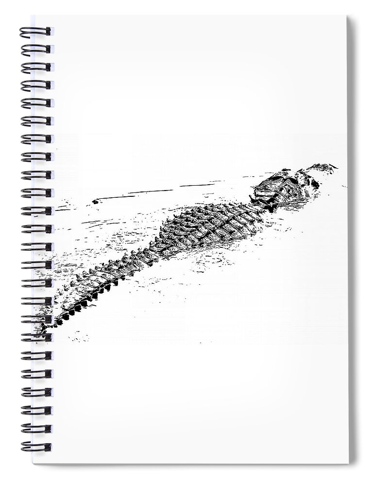 Alligator Spiral Notebook featuring the photograph Gator Crossing by Michael Allard