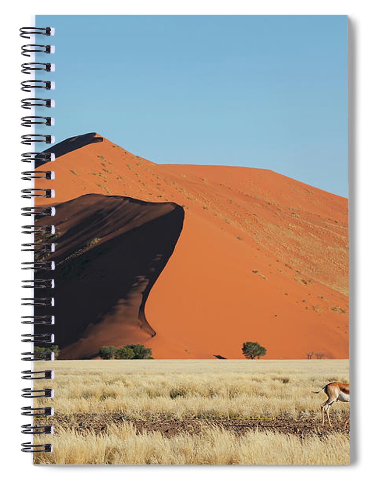 Sand Dune Spiral Notebook featuring the photograph Gazelle Passing Sand Dune by Bjarte Rettedal