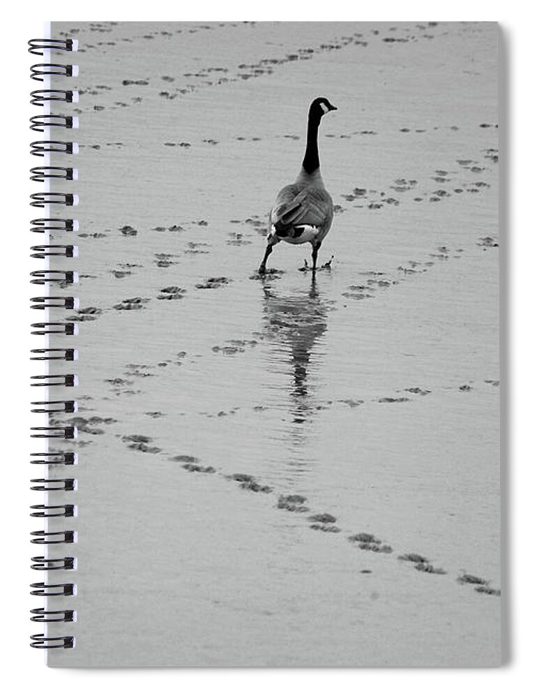 Animal Themes Spiral Notebook featuring the photograph Geese by All Copyrights Reserved By Harris Hui