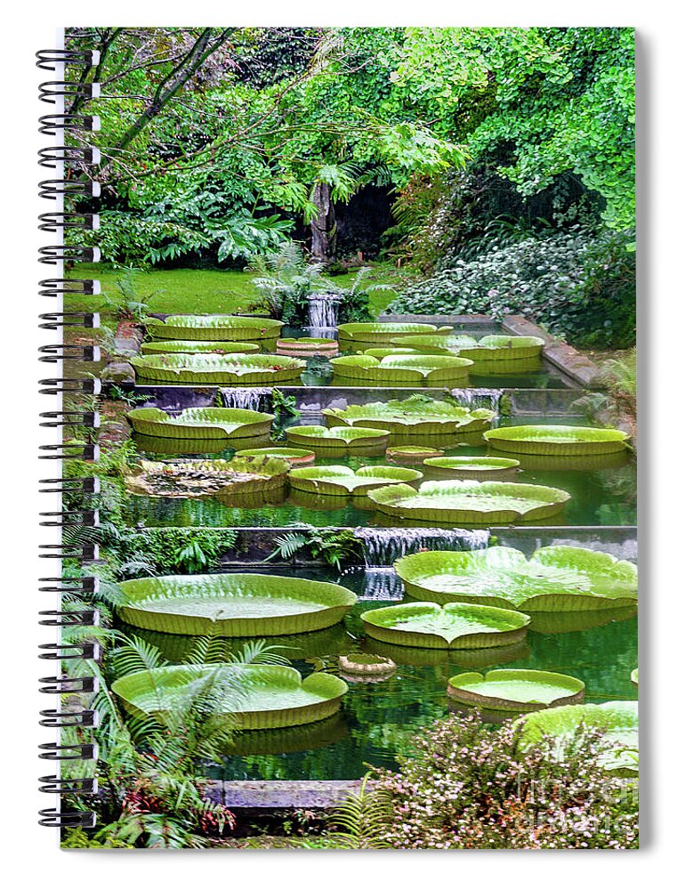 Portugal Spiral Notebook featuring the photograph Giant Water Lily Garden by David Meznarich