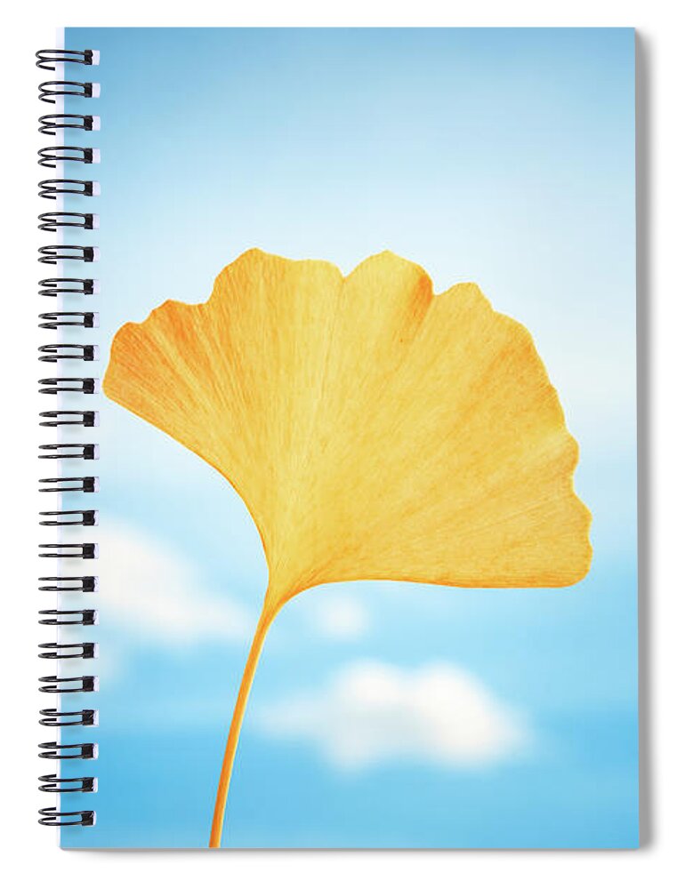 Ginkgo Spiral Notebook featuring the photograph Gingko in the Sky by Philippe Sainte-Laudy
