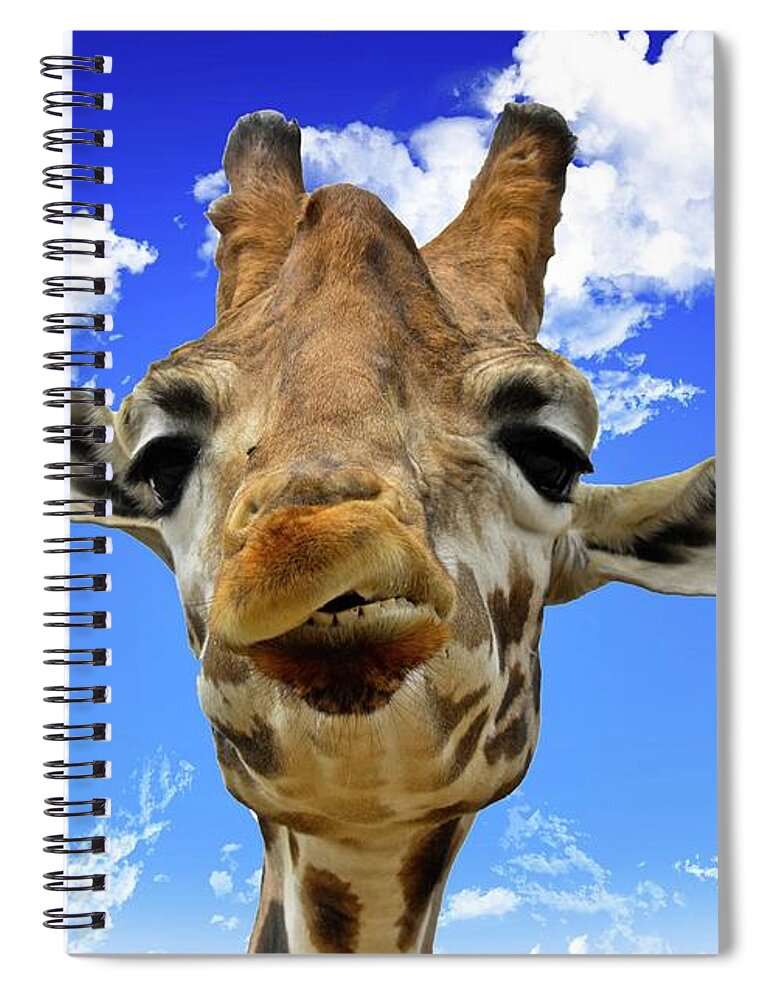 Cantabria Spiral Notebook featuring the photograph Giraffe by David Crespo