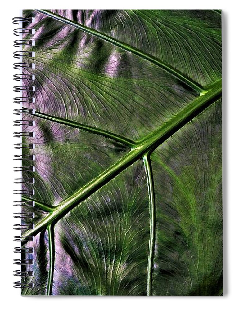Leaves Spiral Notebook featuring the photograph Glamour Shot by Heidi Fickinger
