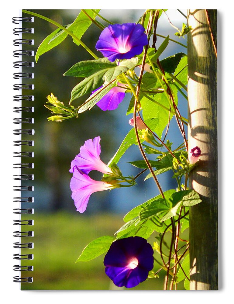 Morning Spiral Notebook featuring the photograph Glorious Shades Of Purple by Virginia White