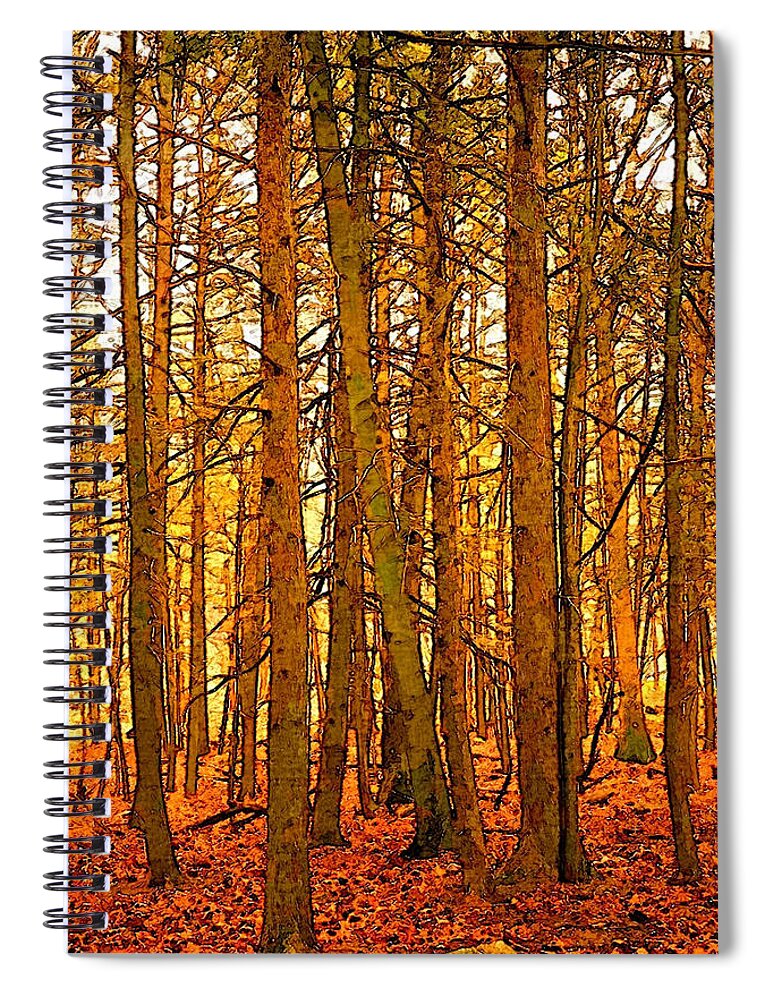 Tree Spiral Notebook featuring the photograph Gold Forest by Robert Bissett