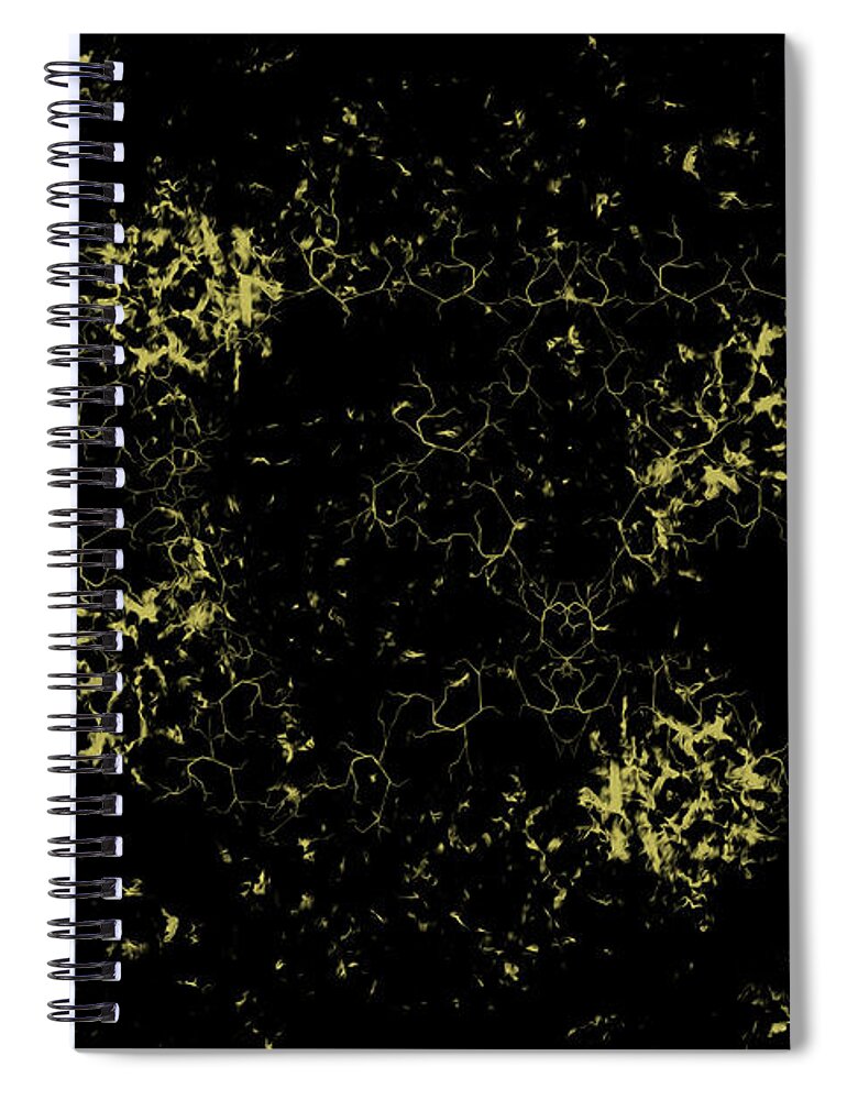 Black-and-gold Spiral Notebook featuring the digital art Golden Dream 6 by Brandi Untz