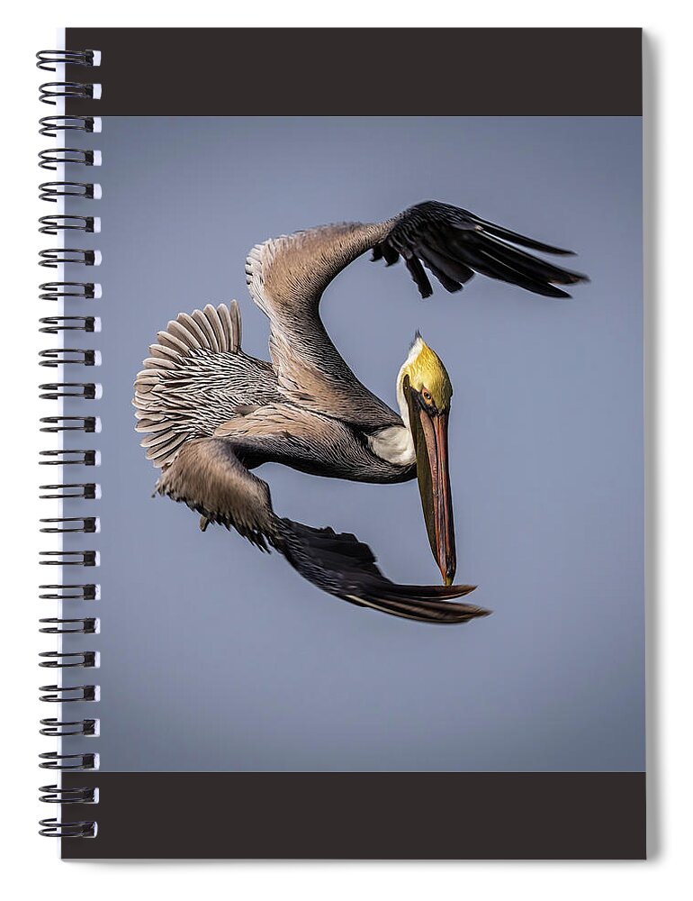 Wildlife Spiral Notebook featuring the photograph Gone Fishing by Gary Migues