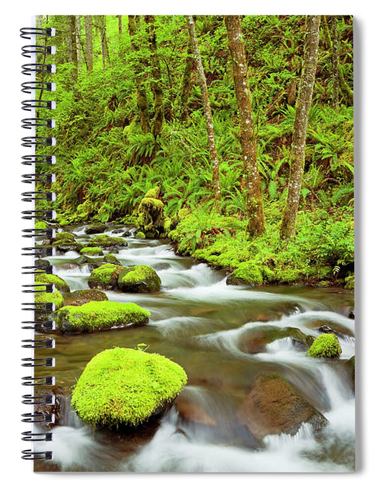 Scenics Spiral Notebook featuring the photograph Gorton Creek Through Lush Rainforest by Sara winter