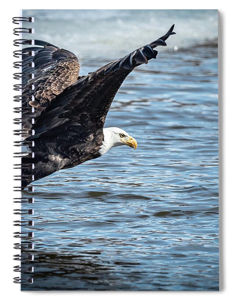 Eagle Spiral Notebook featuring the photograph Got It by Laura Hedien