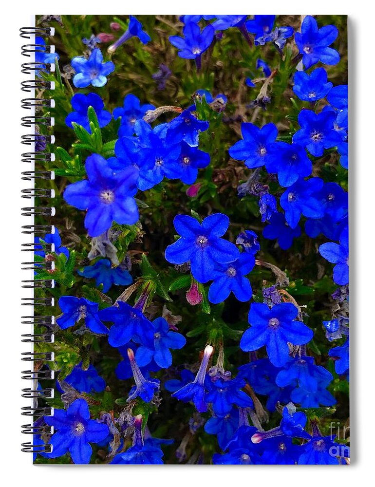 Grace Ward Spiral Notebook featuring the photograph Grace in Blue by Suzanne Lorenz