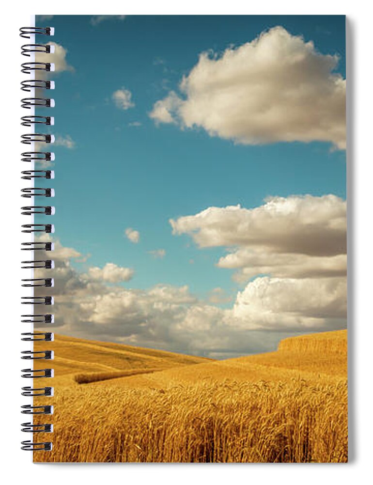 Landscapes Spiral Notebook featuring the photograph Grains of Palouse by Claude Dalley