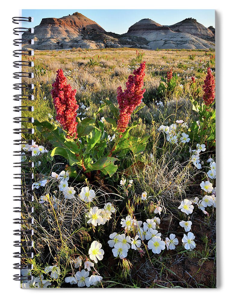 Ruby Mountain Spiral Notebook featuring the photograph Grand Junction Wildflowers by Ray Mathis
