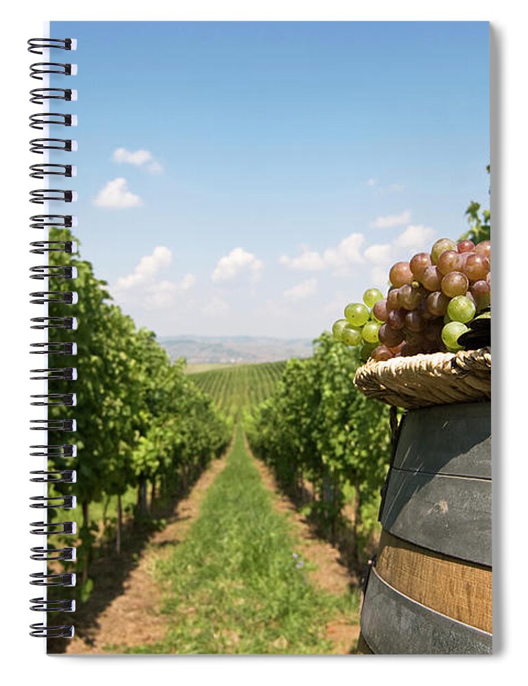 Home Decor Spiral Notebook featuring the photograph Grapes In The Vineyard by Flyparade