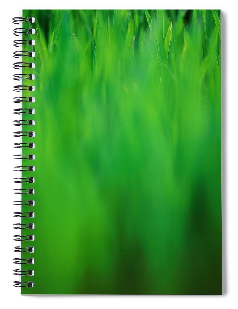 Grass Spiral Notebook featuring the photograph Grass, Close-up Defocussed by Jason Hawkes