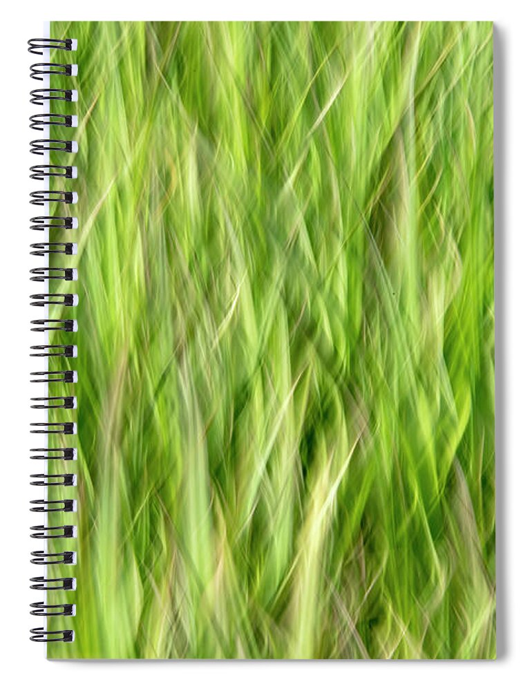Grass Spiral Notebook featuring the photograph Grass Pattern 2 by Kathy Paynter