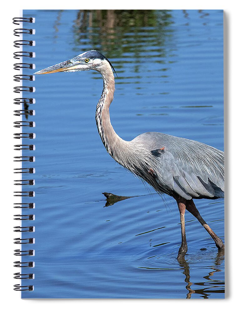 Nature Spiral Notebook featuring the photograph Great Blue Heron DMSB0167 by Gerry Gantt