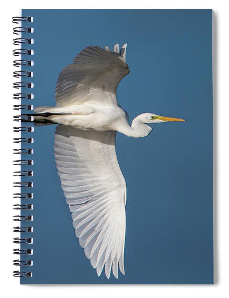Great Egret Spiral Notebook featuring the photograph Great Egret's flight by Torbjorn Swenelius