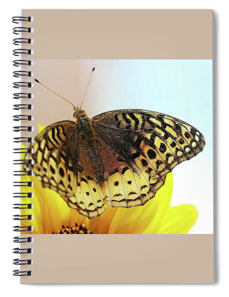 Butterfly Spiral Notebook featuring the photograph Great Spangled Fritillary Butterfly by Debbie Oppermann