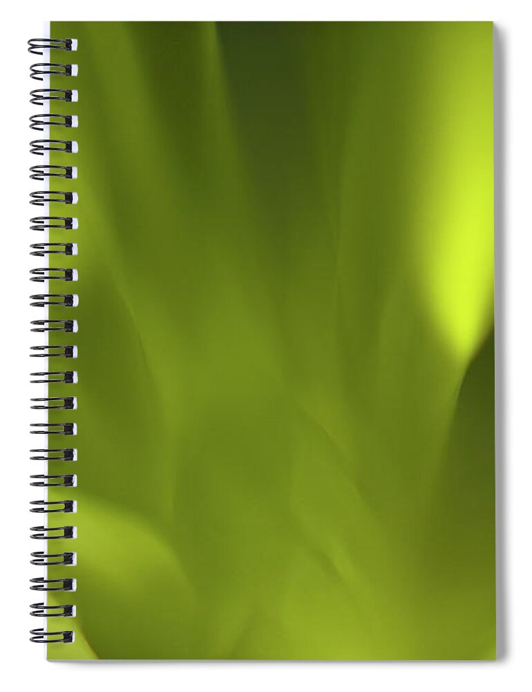 Part Of A Series Spiral Notebook featuring the digital art Green Abstract Light by Ralf Hiemisch