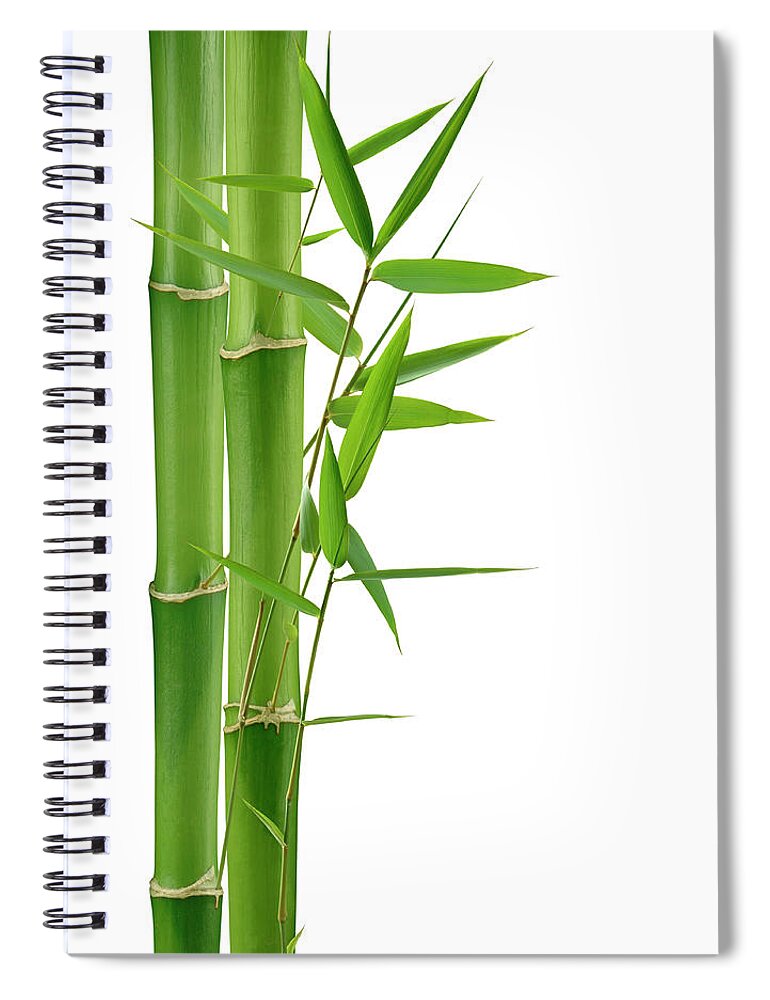 Bamboo Spiral Notebook featuring the photograph Green Bamboo by Pixhook