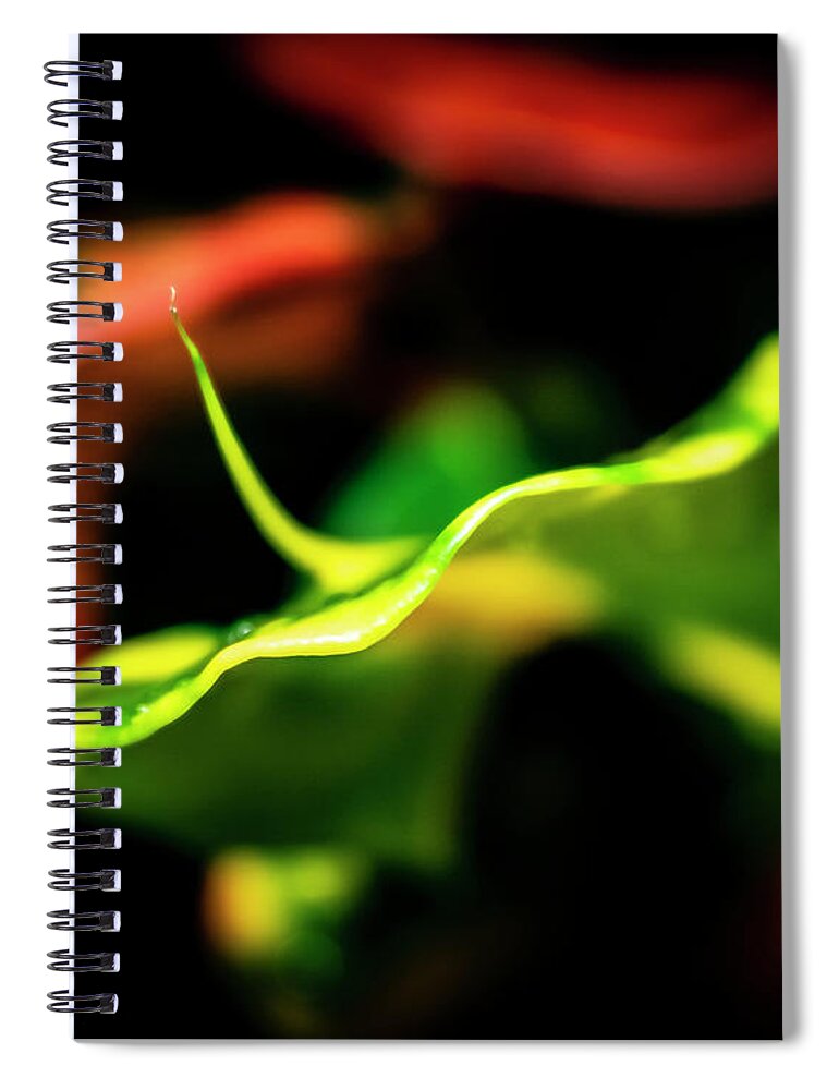 Flowers Spiral Notebook featuring the photograph Green Croton by Silvia Marcoschamer