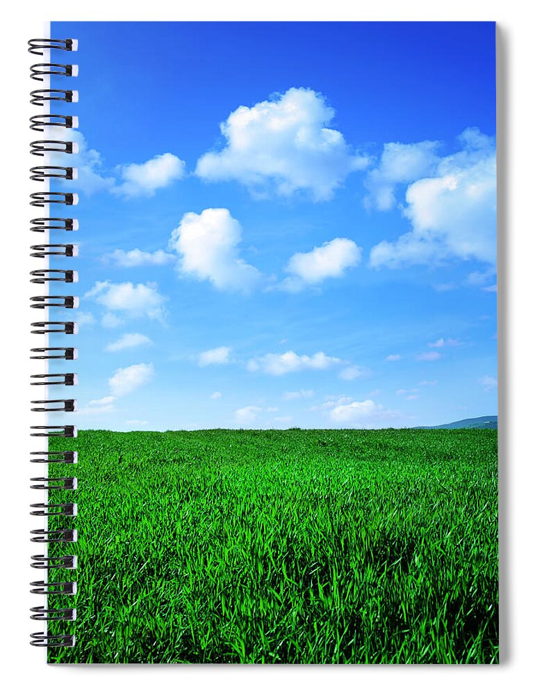 Grass Spiral Notebook featuring the photograph Green Field by Kertlis