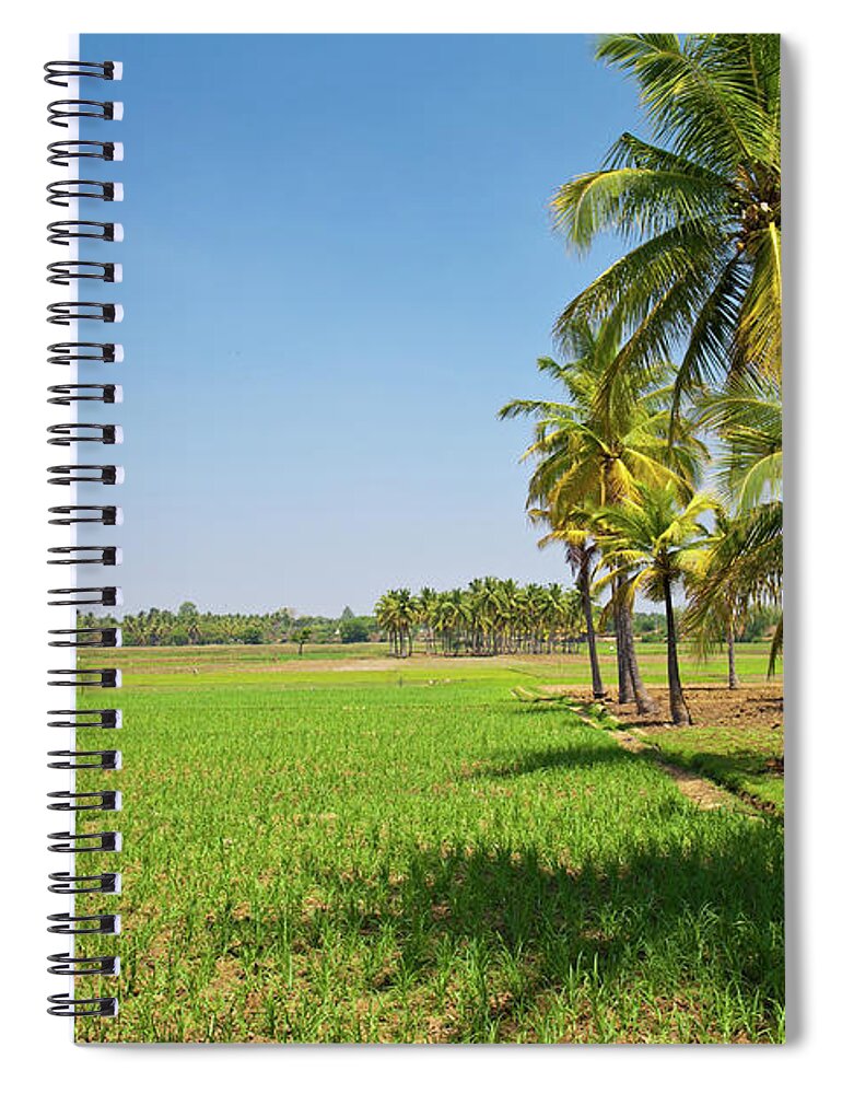 Tranquility Spiral Notebook featuring the photograph Green Rice Paddy Fields, India by Amit Basu Photography