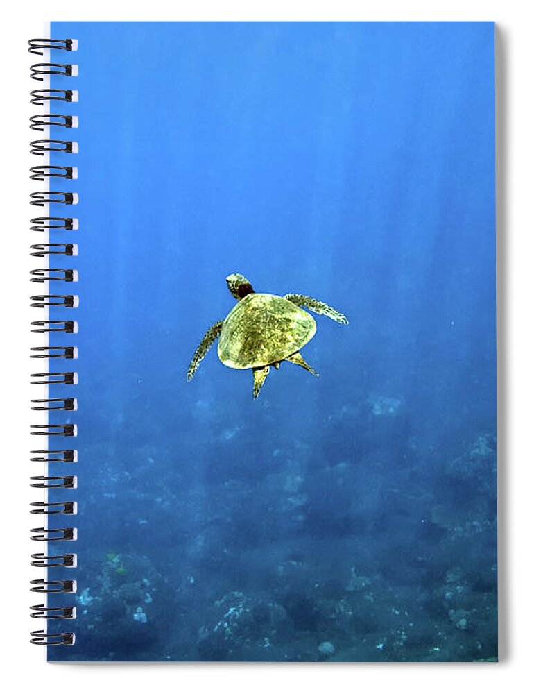 Underwater Spiral Notebook featuring the photograph Green Sea Turtle by Hali Sowle Images