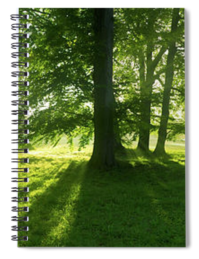 Landscape Park Spiral Notebook featuring the photograph Green sunrise by Sun Travels