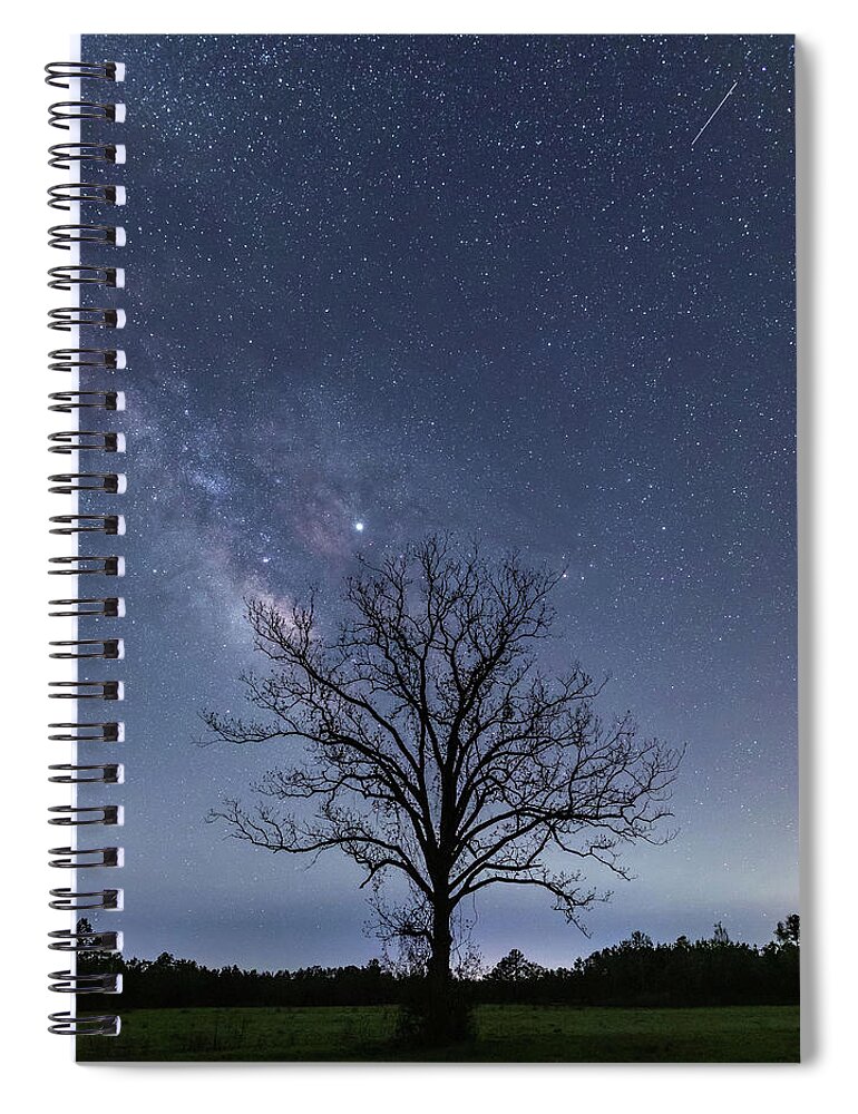 Greenswamp Spiral Notebook featuring the photograph Green Swamp Milky Way by Nick Noble