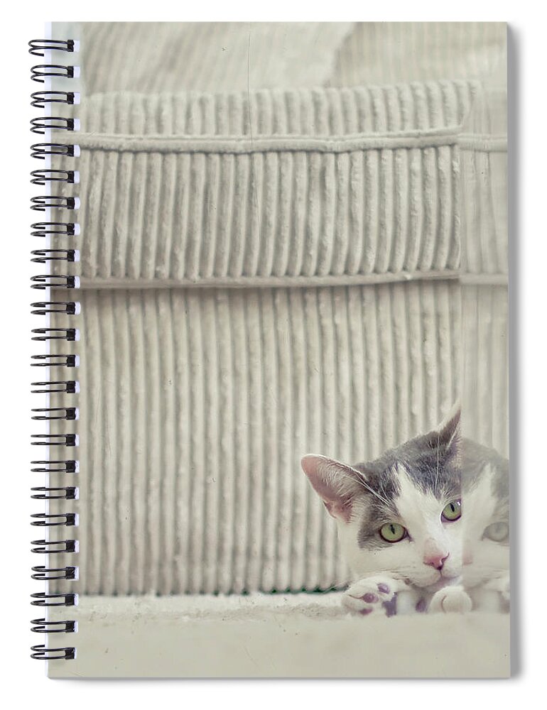 Pets Spiral Notebook featuring the photograph Grey And White Cat Peeking Around Corner by Cindy Prins