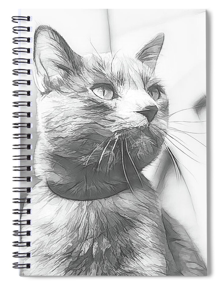 Art Spiral Notebook featuring the digital art Grey Cat Posing, Black and White Sketch by Rick Deacon
