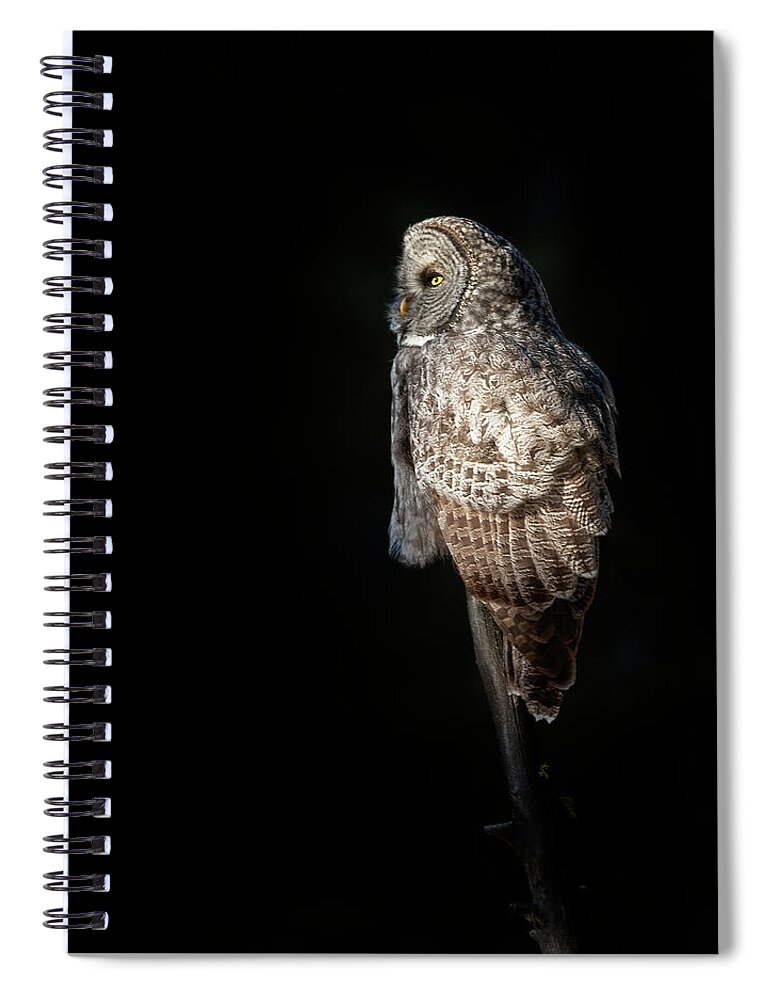 Great Spiral Notebook featuring the photograph Grey Ghost by Gary Langley