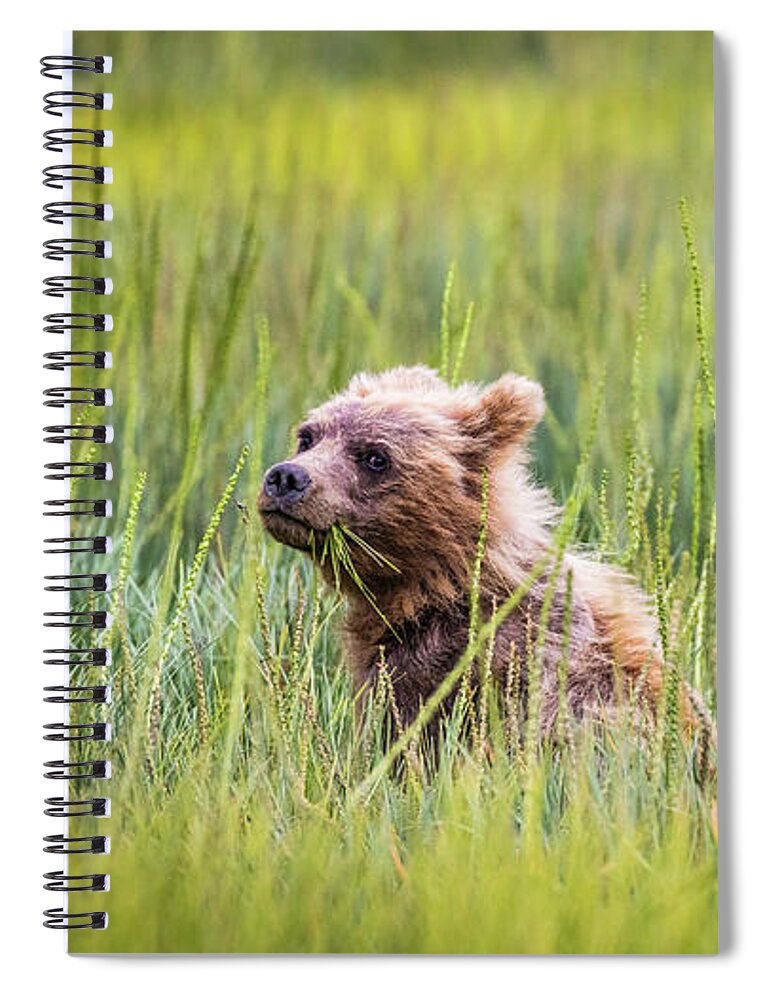 Grizzly Spiral Notebook featuring the photograph Grizzly cubs by Lyl Dil Creations
