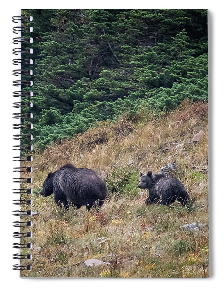 Bear Spiral Notebook featuring the photograph Grizzly Mountain by Gary Migues