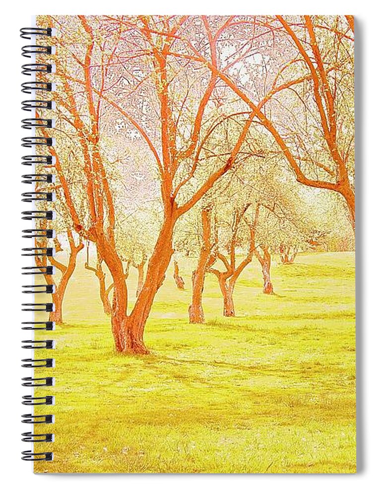 Grove Spiral Notebook featuring the pyrography Grove 2 by Marty Klar
