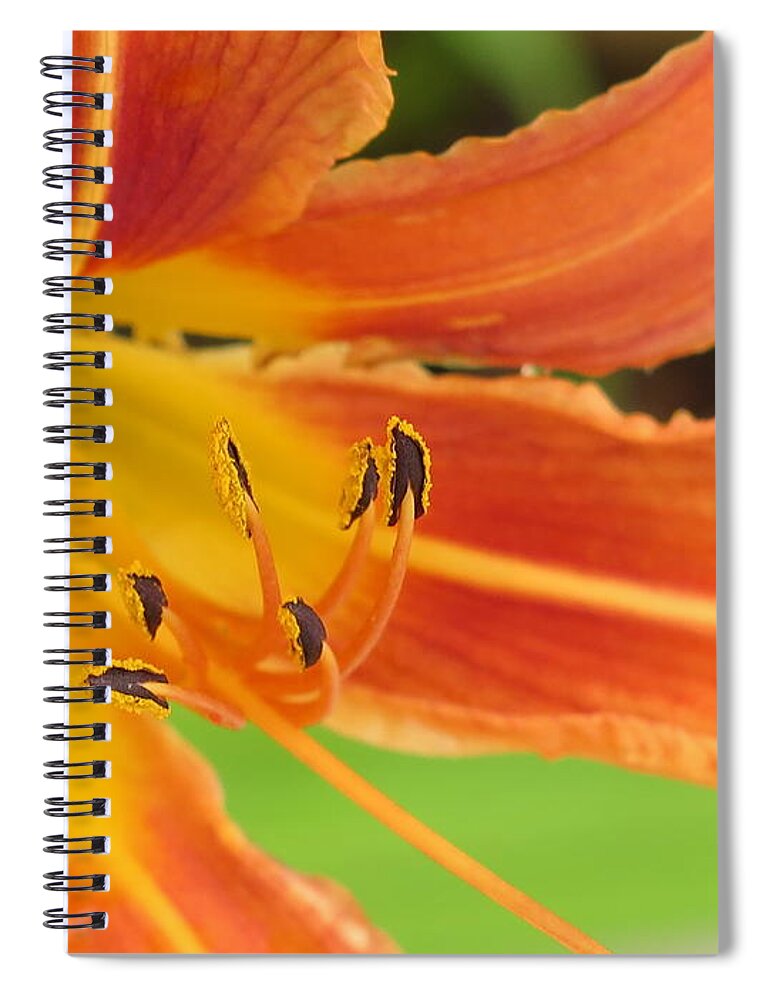 Day Lily Spiral Notebook featuring the photograph Guardian Serpents by David Coblitz
