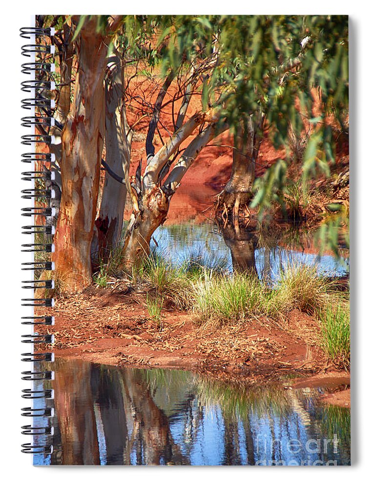 Gum Tree Reflection Spiral Notebook featuring the photograph Gum Tree Reflection by Douglas Barnard