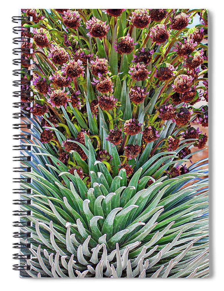 Silversword Spiral Notebook featuring the photograph Haleakala Ahinahina closeup by Anthony Jones