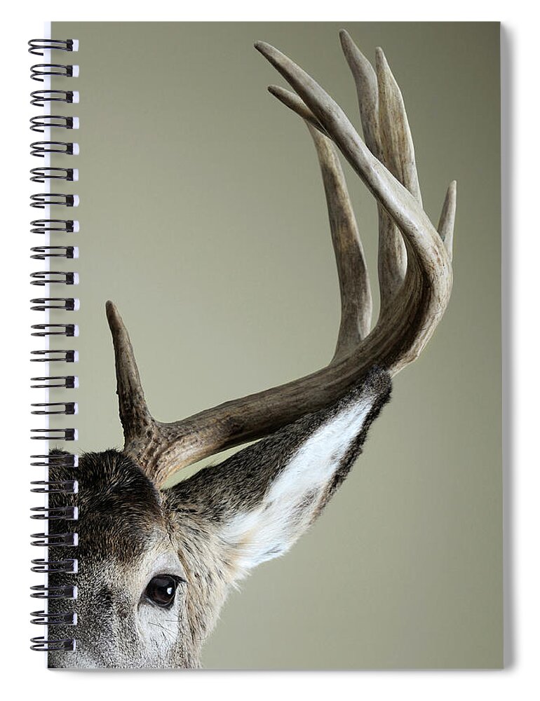 Animal Spiral Notebook featuring the photograph Half Whitetail Deer Head by Nater23