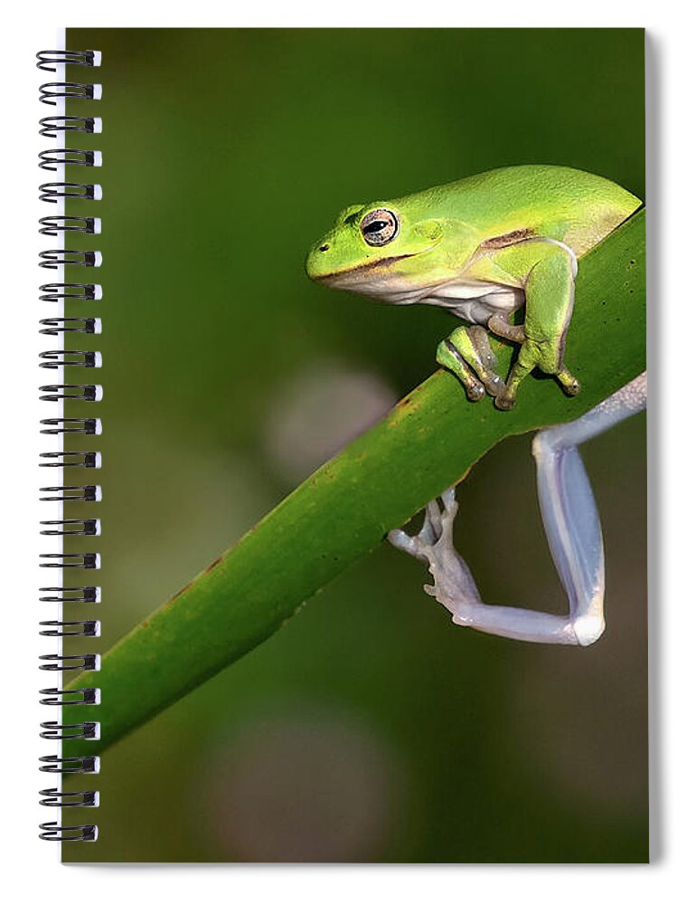 Frog Spiral Notebook featuring the photograph Hang Loose by Art Cole
